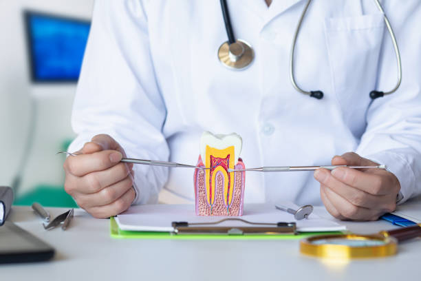 Best Weekend Emergency Dental Services in Eureka, KS